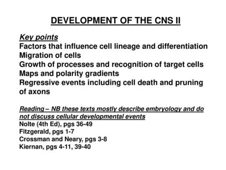 DEVELOPMENT OF THE CNS II