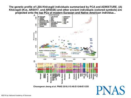 The genetic profile of LBA Khövsgöl individuals summarized by PCA and ADMIXTURE. (A) Khövsgöl (Kvs, ARS017, and ARS026) and other ancient individuals (colored.