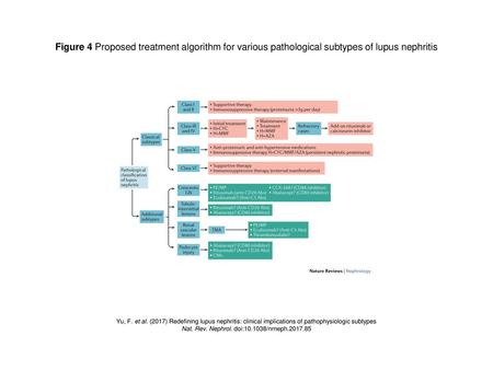 Nat. Rev. Nephrol. doi: /nrneph