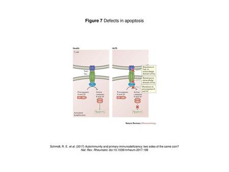 Figure 7 Defects in apoptosis