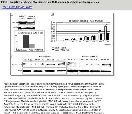 PKC-θ is a negative regulator of TRAIL-induced and FADD-mediated apoptotic spectrin aggregation DOI: 10.5603/FHC.a2016.0006 Aggregation of spectrin in.