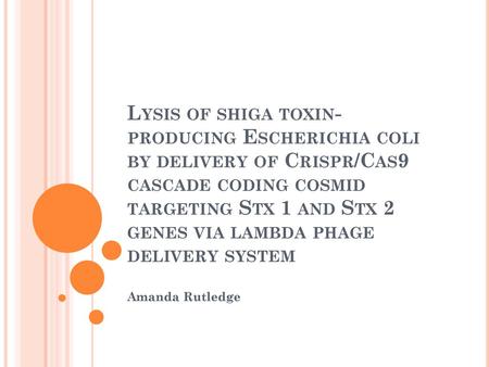 Lysis of shiga toxin-producing Escherichia coli by delivery of Crispr/Cas9 cascade coding cosmid targeting Stx 1 and Stx 2 genes via lambda phage delivery.