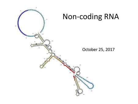 Non-coding RNA October 25, 2017.