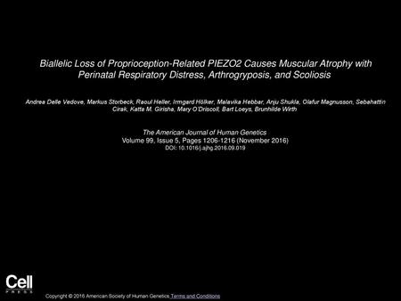 Biallelic Loss of Proprioception-Related PIEZO2 Causes Muscular Atrophy with Perinatal Respiratory Distress, Arthrogryposis, and Scoliosis  Andrea Delle.