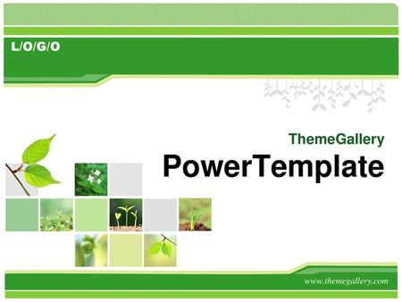 ThemeGallery PowerTemplate