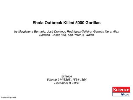 Ebola Outbreak Killed 5000 Gorillas