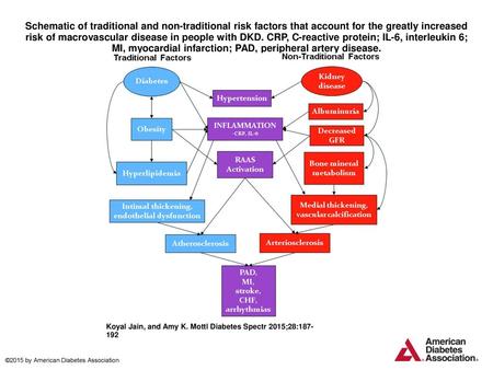 Schematic of traditional and non-traditional risk factors that account for the greatly increased risk of macrovascular disease in people with DKD. CRP,