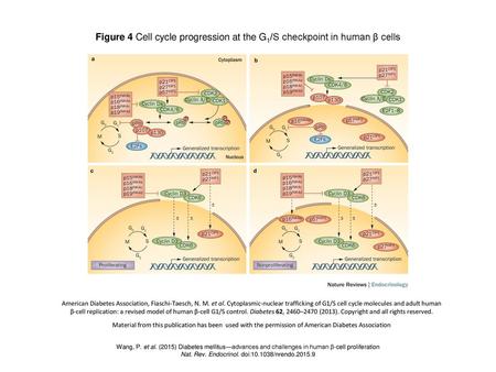 Nat. Rev. Endocrinol. doi: /nrendo