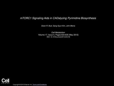 mTORC1 Signaling Aids in CADalyzing Pyrimidine Biosynthesis