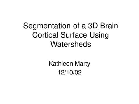 Segmentation of a 3D Brain Cortical Surface Using Watersheds