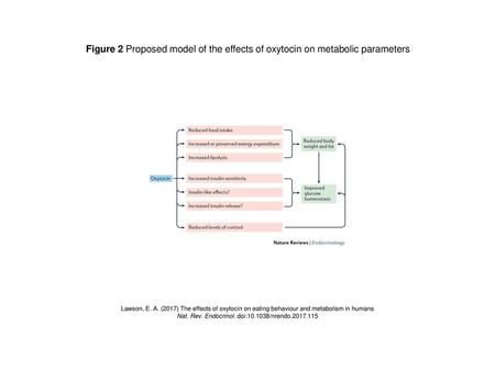 Nat. Rev. Endocrinol. doi: /nrendo