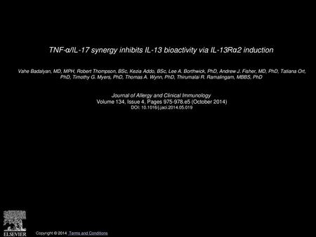 TNF-α/IL-17 synergy inhibits IL-13 bioactivity via IL-13Rα2 induction