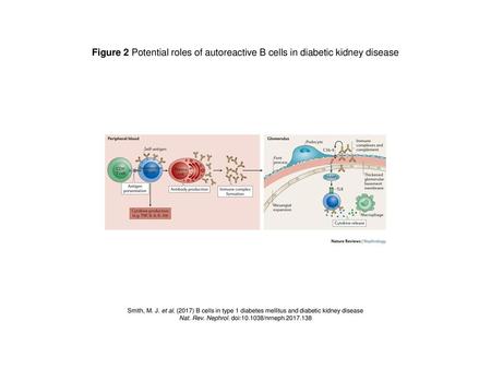 Nat. Rev. Nephrol. doi: /nrneph