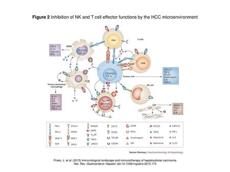 Nat. Rev. Gastroenterol. Hepatol. doi: /nrgastro