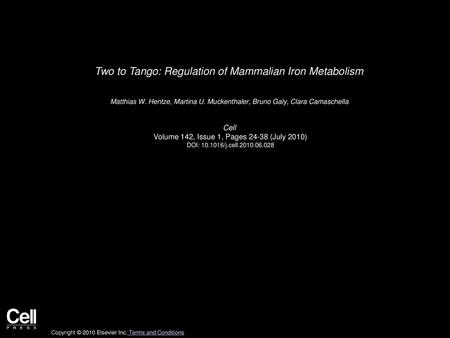 Two to Tango: Regulation of Mammalian Iron Metabolism