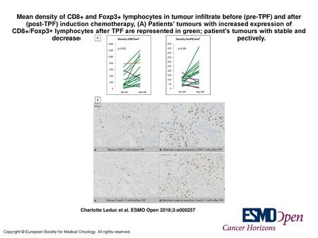 Mean density of CD8+ and Foxp3+ lymphocytes in tumour infiltrate before (pre-TPF) and after (post-TPF) induction chemotherapy, (A) Patients’ tumours with.