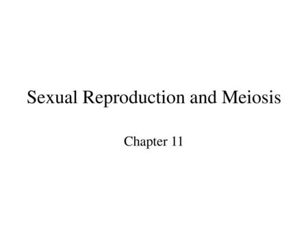 Sexual Reproduction and Meiosis