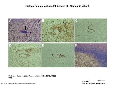 Histopathologic features (all images at ×10 magnification).