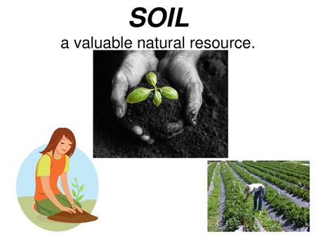 SOIL a valuable natural resource.