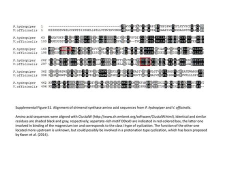 Supplemental Figure S1. Alignment of drimenol synthase amino acid sequences from P. hydropiper and V. officinalis. Amino acid sequences were aligned with.