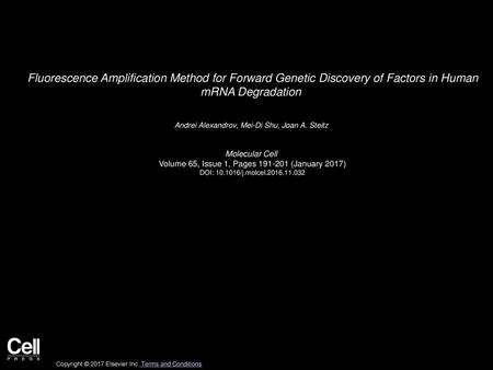 Andrei Alexandrov, Mei-Di Shu, Joan A. Steitz  Molecular Cell 