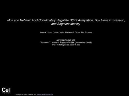 Moz and Retinoic Acid Coordinately Regulate H3K9 Acetylation, Hox Gene Expression, and Segment Identity  Anne K. Voss, Caitlin Collin, Mathew P. Dixon,