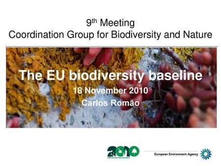 9th Meeting Coordination Group for Biodiversity and Nature