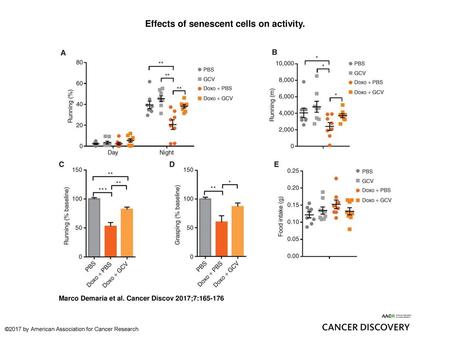 Effects of senescent cells on activity.