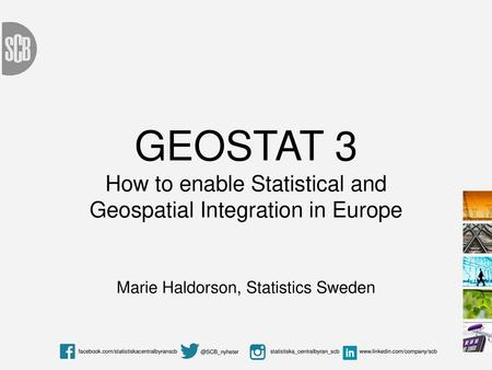 Marie Haldorson, Statistics Sweden