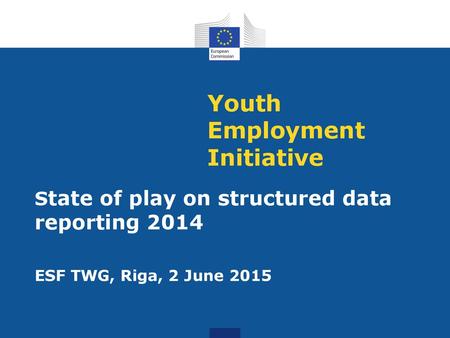 Youth Employment Initiative