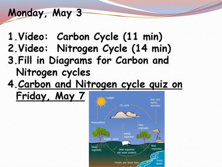 Monday, May 3 Video:  Carbon Cycle (11 min)