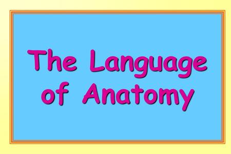 The Language of Anatomy