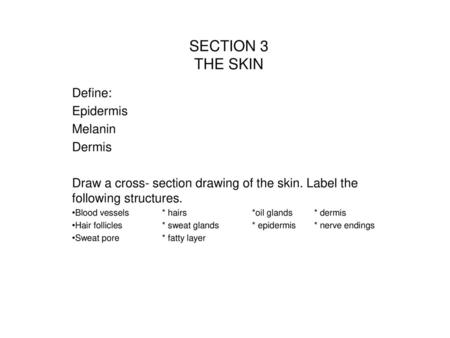 SECTION 3 THE SKIN Define: Epidermis Melanin Dermis