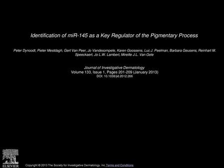 Identification of miR-145 as a Key Regulator of the Pigmentary Process