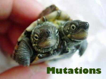 Mutations.