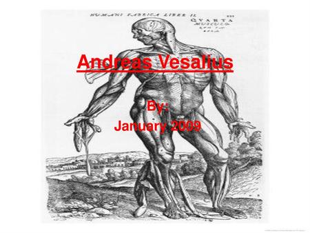 Andreas Vesalius By: January 2009.