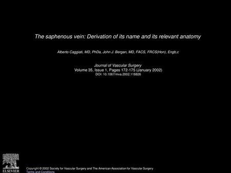 The saphenous vein: Derivation of its name and its relevant anatomy