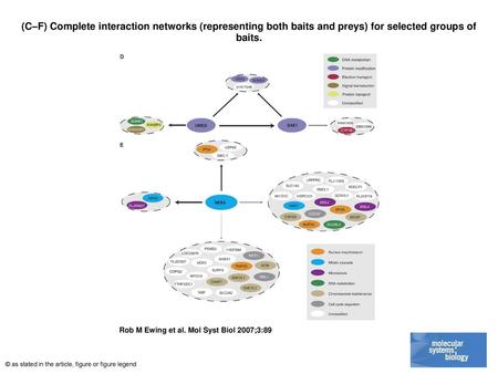 (C–F) Complete interaction networks (representing both baits and preys) for selected groups of baits. (C–F) Complete interaction networks (representing.