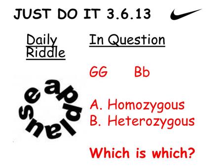 JUST DO IT Daily Riddle In Question GG Bb Homozygous