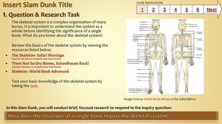 Insert Slam Dunk Title 1. Question & Research Task