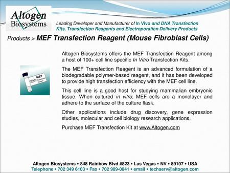 Products > MEF Transfection Reagent (Mouse Fibroblast Cells)