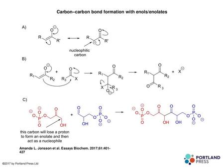 Carbon–carbon bond formation with enols/enolates