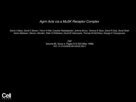 Agrin Acts via a MuSK Receptor Complex