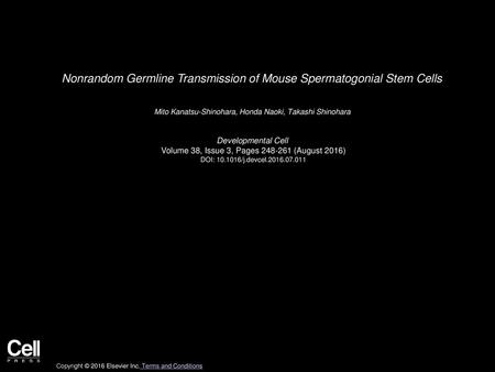 Nonrandom Germline Transmission of Mouse Spermatogonial Stem Cells