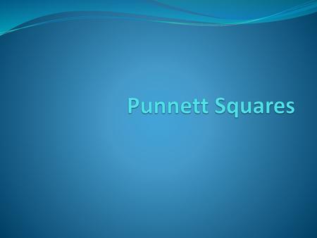 Punnett Squares.