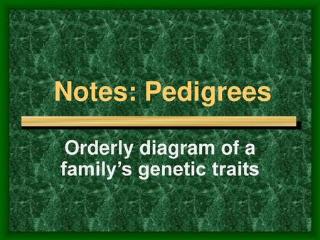 Orderly diagram of a family’s genetic traits