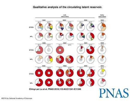 Qualitative analysis of the circulating latent reservoir.