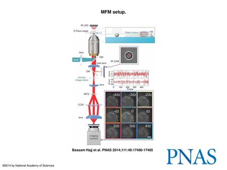 MFM setup. MFM setup. The excitation lasers are combined in a fiber through an acousto-optic tunable filter, collimated, reflected on a dichroic mirror.