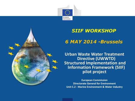 SIIF WORKSHOP 6 MAY Brussels