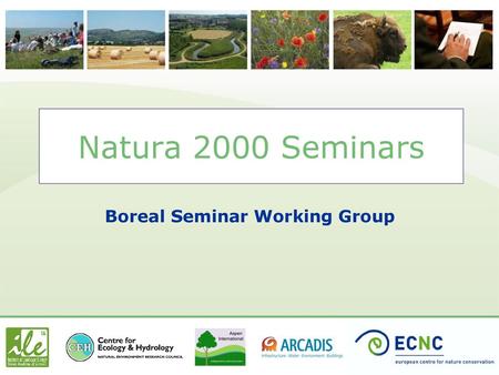 Boreal Seminar Working Group